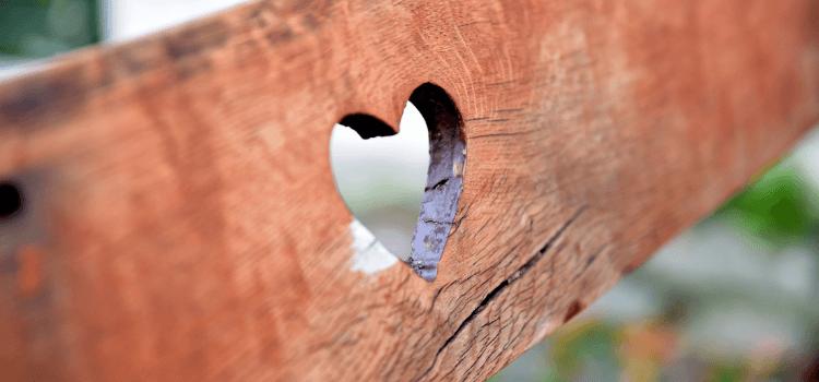 5 Reason Why You Should Love Logging as a Job