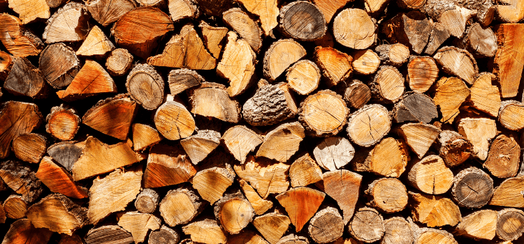 Different Types of Firewood
